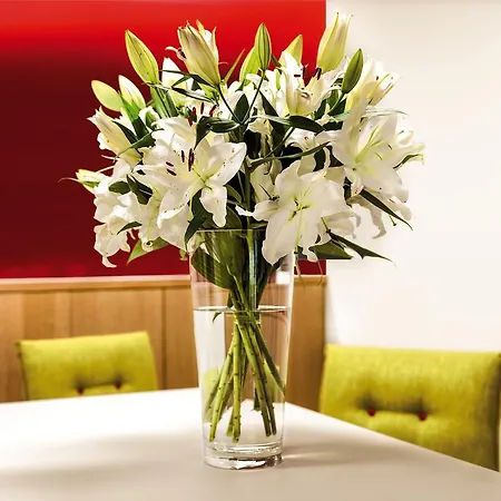 Hotel Bodensee Berlingen