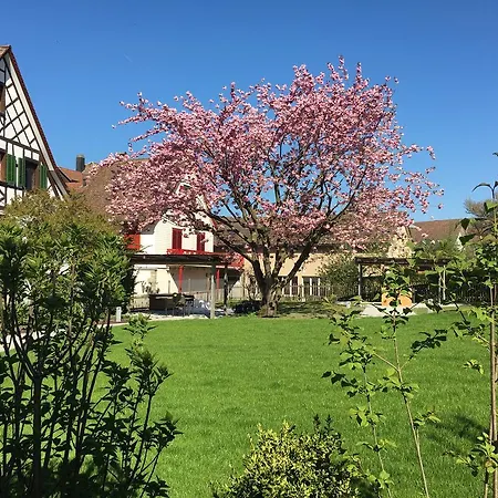 Hotel Bodensee Berlingen